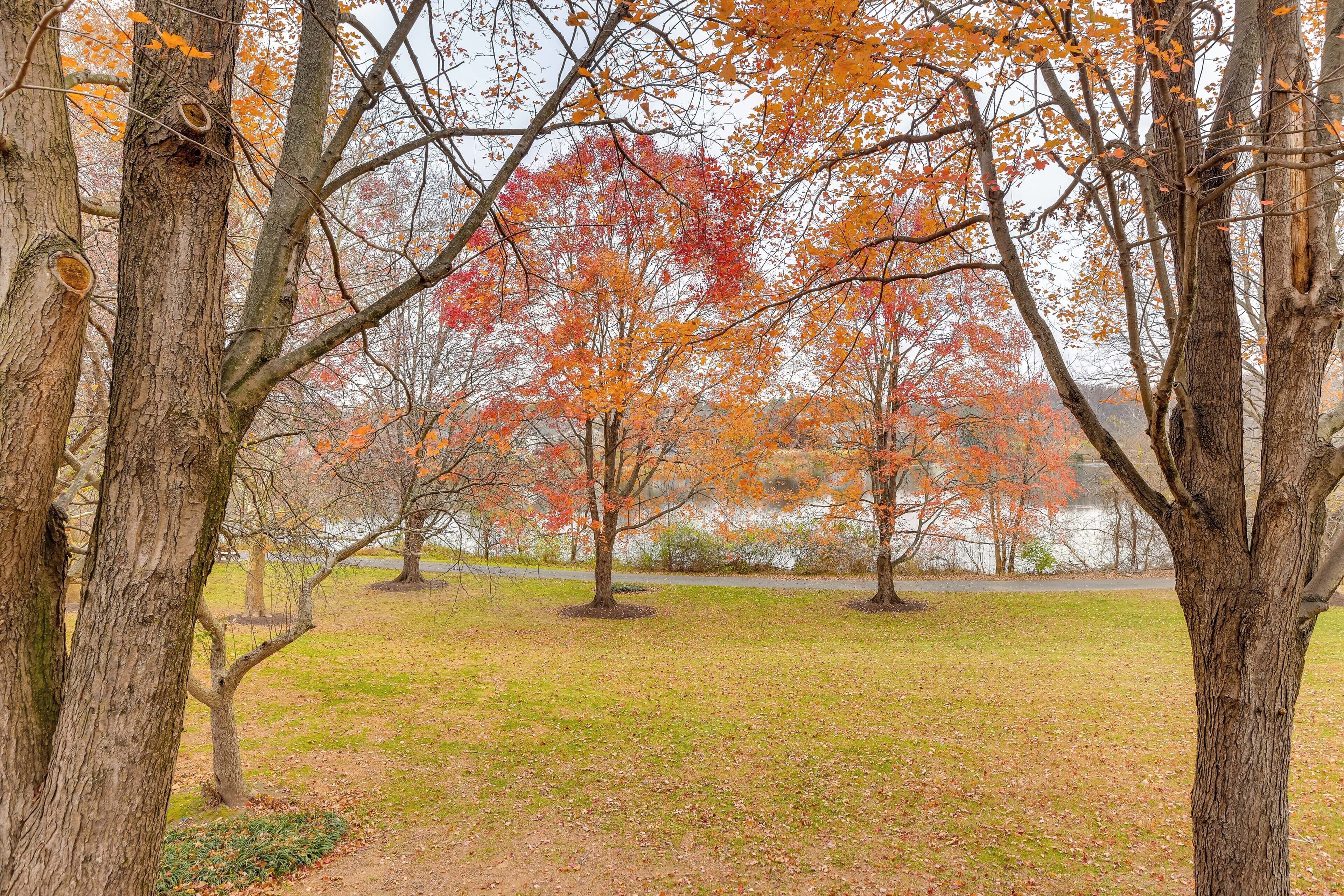 A park with trees displaying autumn foliage, a grassy area, and a body of water in the background.