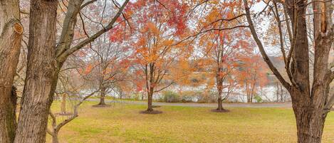 A park with trees displaying autumn foliage, a grassy area, and a body of water in the background.