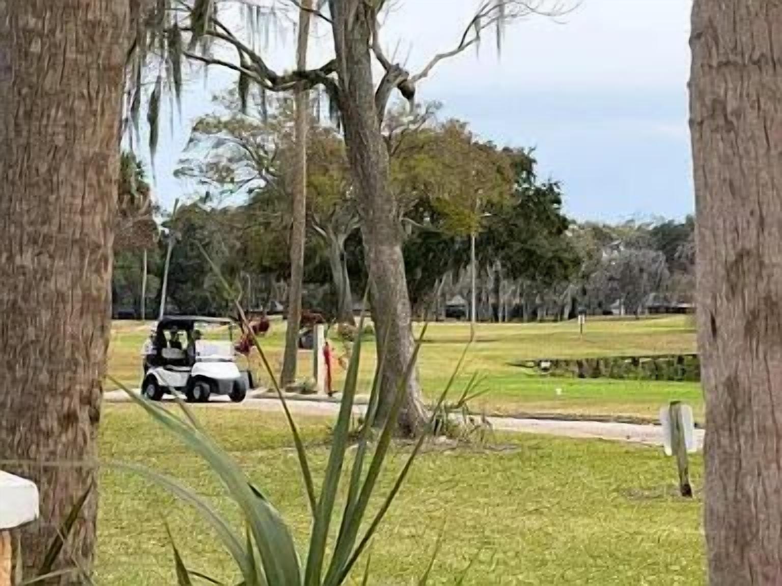Een golfbaan met een golftrolley en een persoon in de verte.