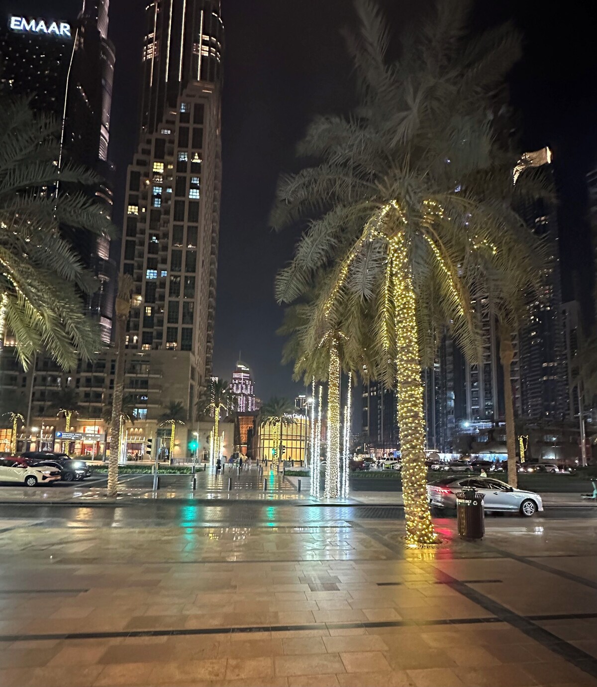 Imagen de perfil del propietario o de la propietaria