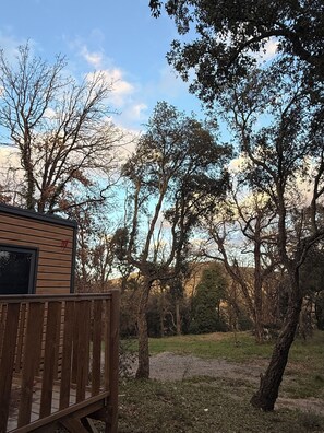 Property grounds - Relaxing break in Saint-Tropez: spacious 3-bedroom mobile home + large terrace (La Garde-Freinet)
