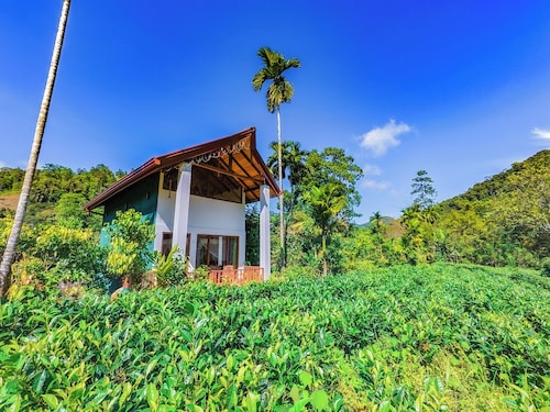 Rain Forest Vibe Sinharaja