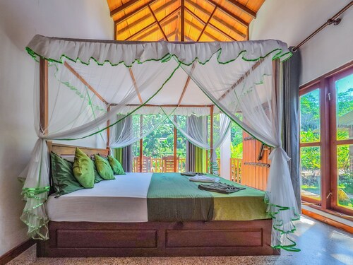 Rain Forest Vibe Sinharaja