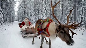 Et rensdyr trækker en slæde gennem en snefyldt skov.
