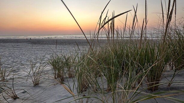 Ein Strand mit Sand und Gras im Vordergrund, das Meer im Hintergrund.