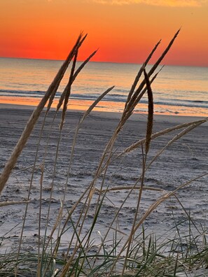 Beach - Walk to Beach: Coastal Brigantine Condo w/ Patio! (Brigantine)