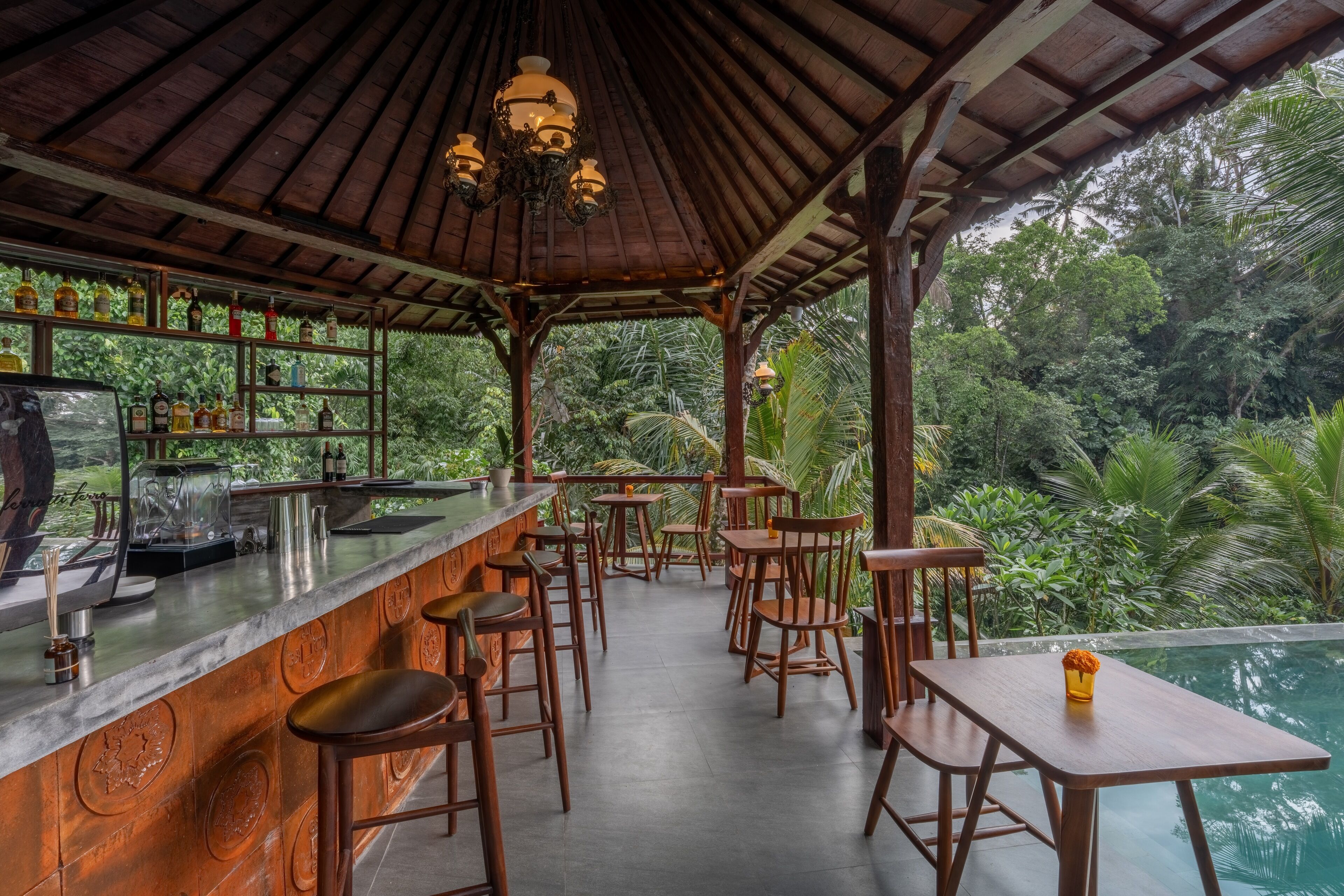 Un espace bar extérieur abrité, doté d’une piscine, de mobilier en bois et de diverses bouteilles exposées sur des étagères.