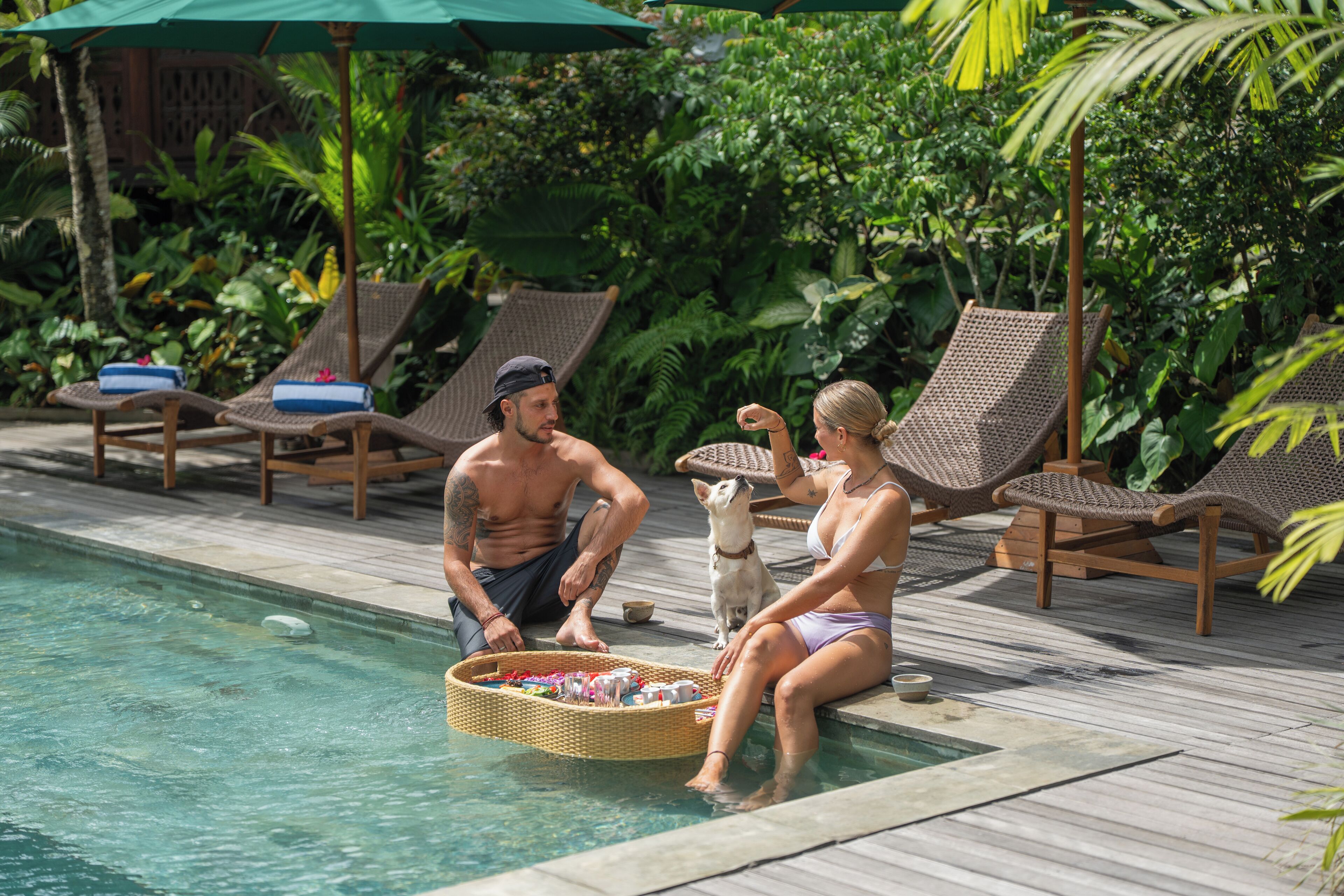 A poolside area with lounge chairs, a wicker basket, and a dog.
