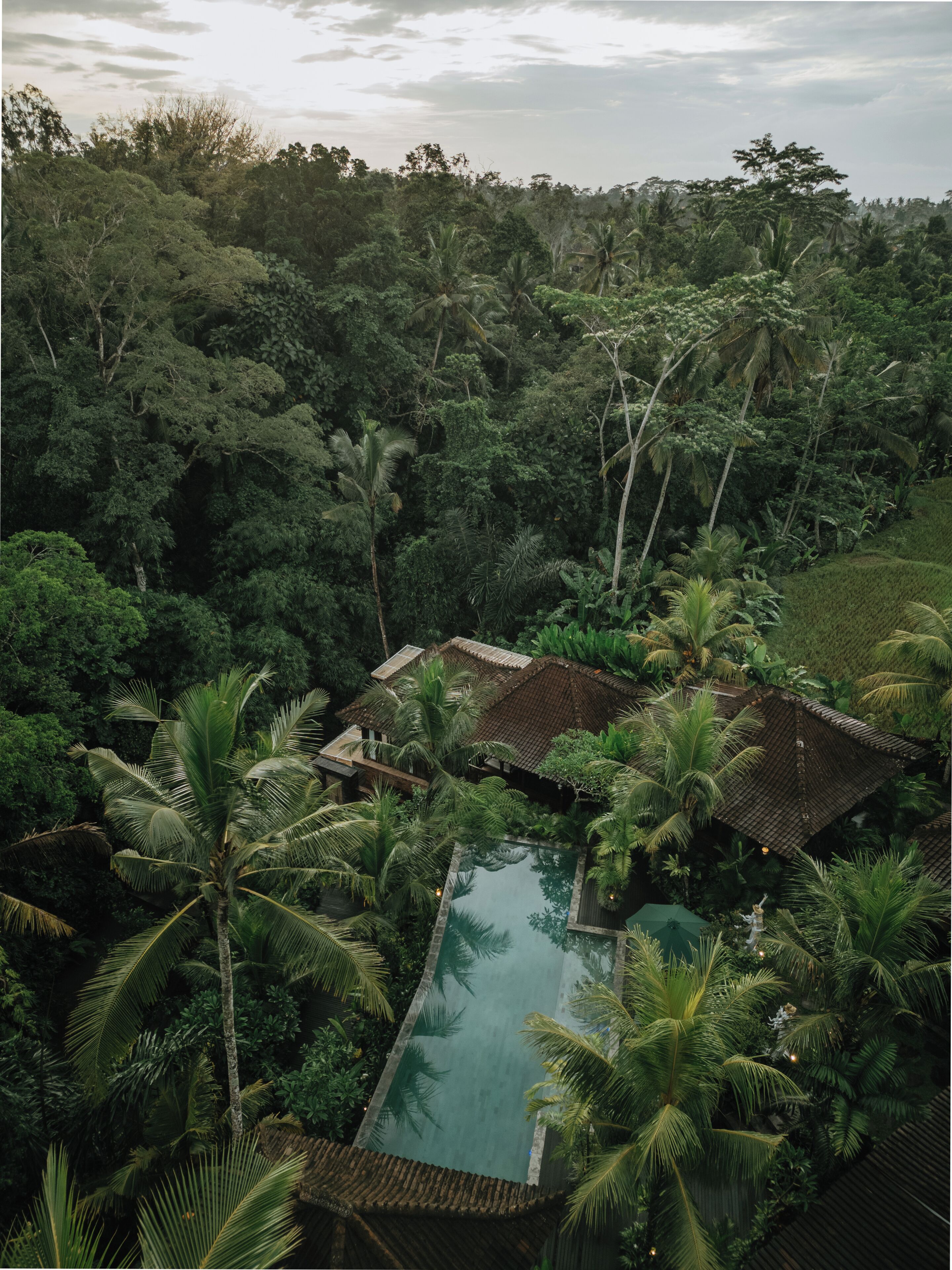 Un complexe hôtelier tropical doté d’une piscine à débordement, entouré d’une végétation luxuriante et de palmiers.