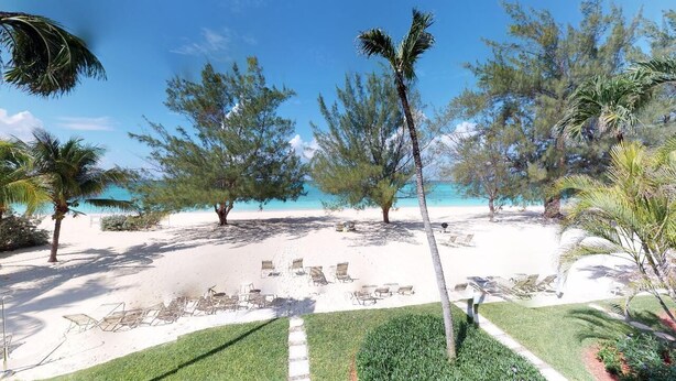 Een strand met wit zand, palmbomen en ligbedden.
