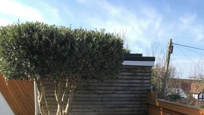 A patio with a round table, chairs, a large pot, and a wooden fence. - End terrace, sea views,short walk to the town and harbour of Ilfracombe (Ilfracombe)