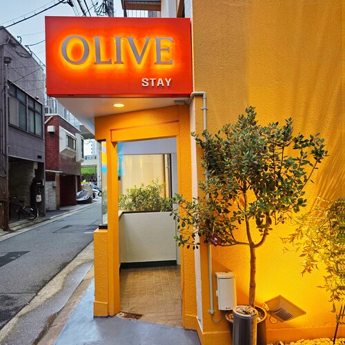 OLIVE stay