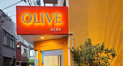OLIVE stay