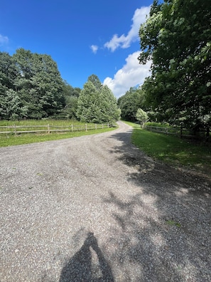 A gravel path flanked by trees and a wooden fence. - Cozy, PRIVATE, 4-bedroom cabin on 40 acres. (Markleton)