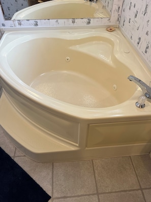 Jetted bath, hair dryer, towels, soap - Cozy, PRIVATE, 4-bedroom cabin on 40 acres. (Markleton)