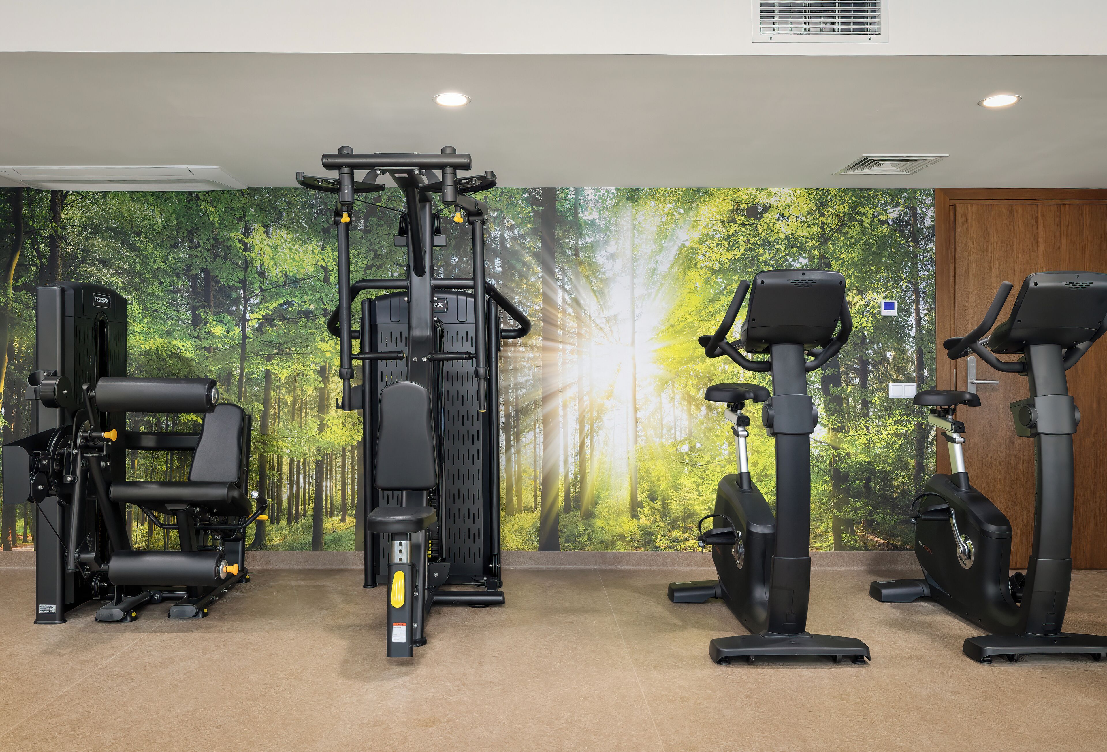 Une salle de sport équipée de matériel d’exercice et ornée d’une fresque représentant une forêt.