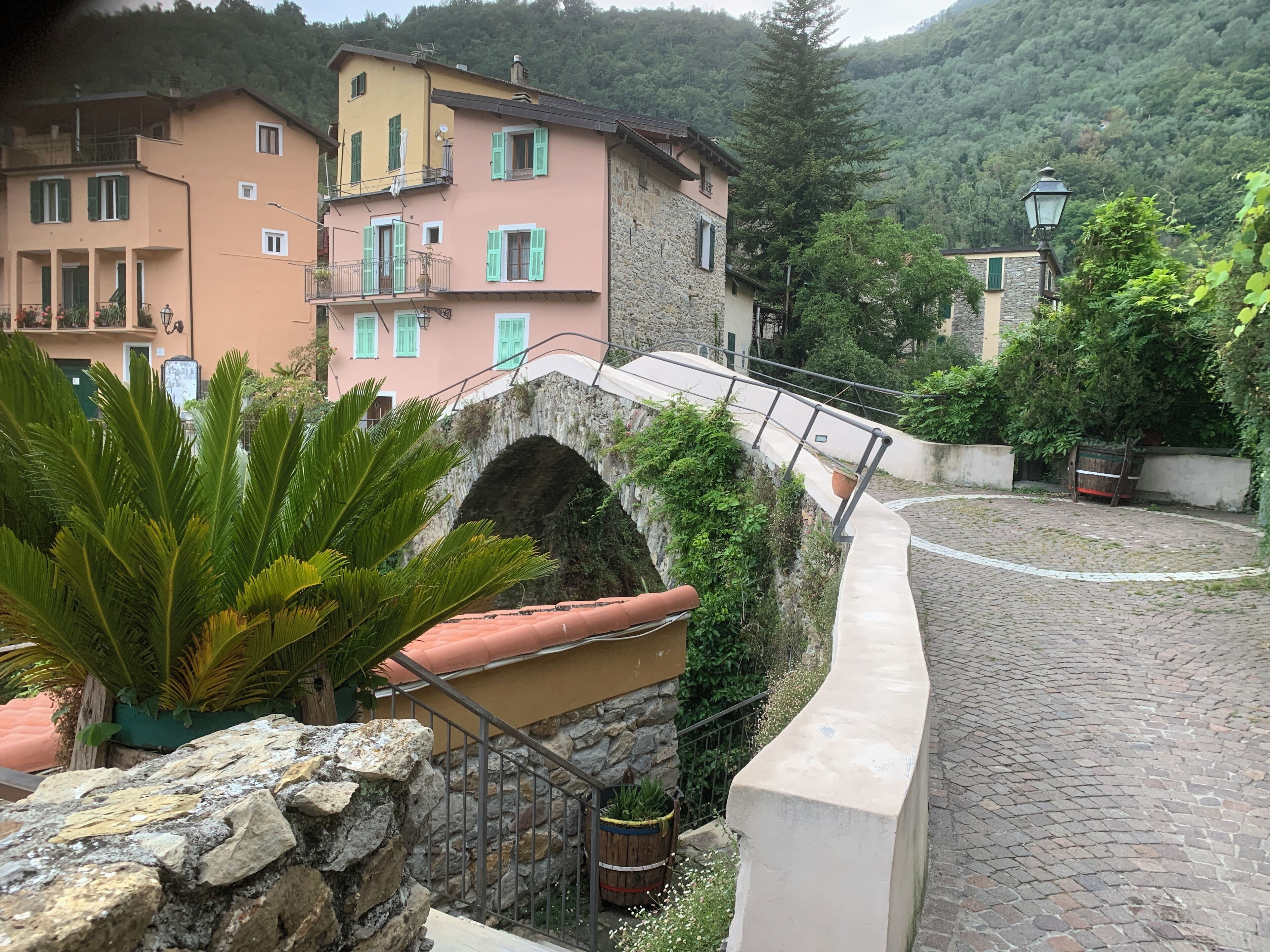 المنطقة المحيطة بالمنشأة