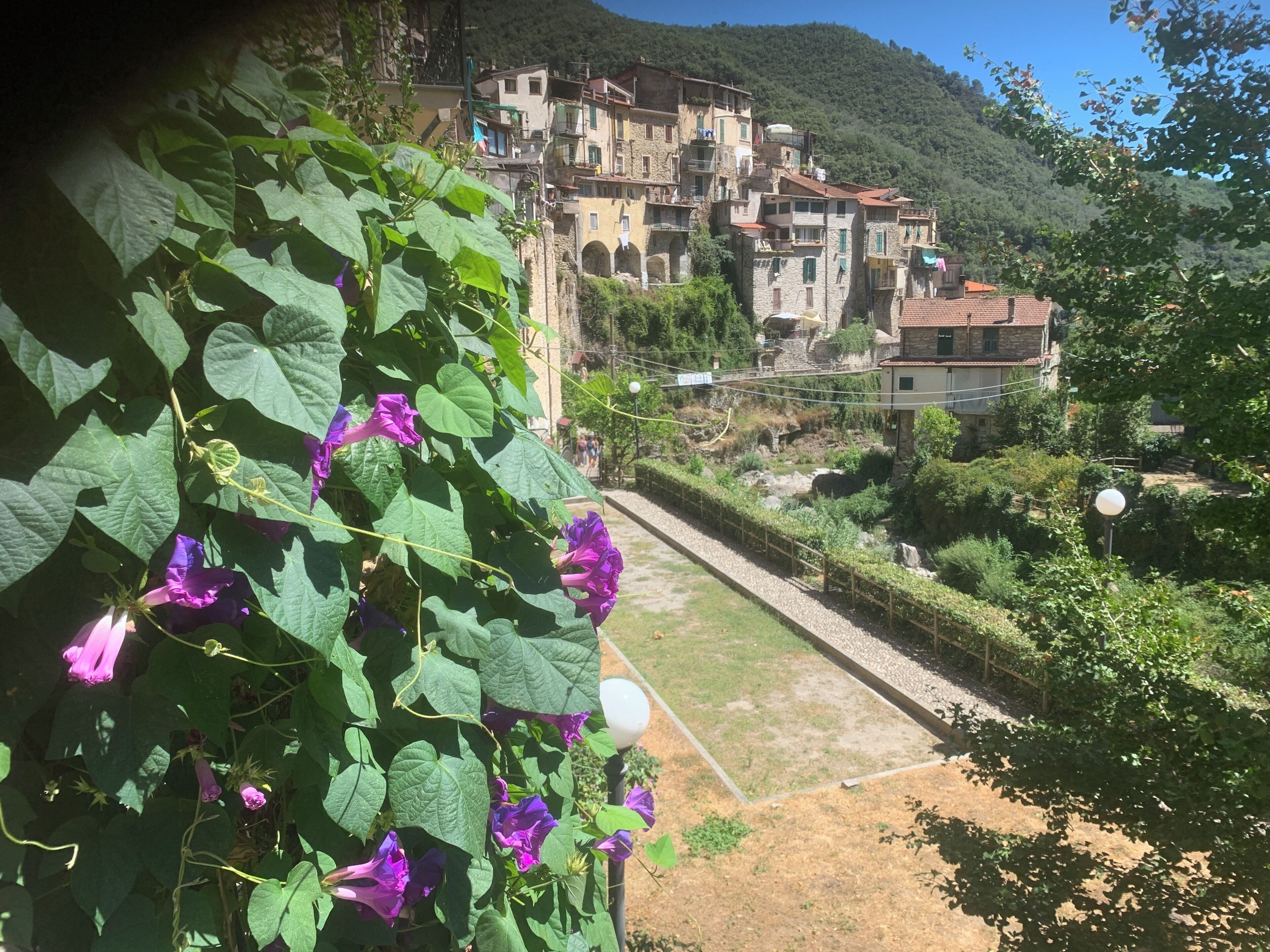 A mountainous village with stone buildings, a clear path, and lush greenery.