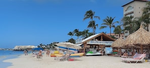 Une plage équipée de chaises longues, de parasols et d’un espace de location de matériel de sports nautiques.