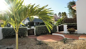 Un jardin résidentiel agrémenté d’un palmier, d’un chemin en briques et d’un bâtiment blanc.