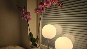 A bedroom with a bed, a potted plant, and a bedside lamp. - Viherpihan helmi | Free parking & Netflix | 5G | 100 m to metro (Espoo)
