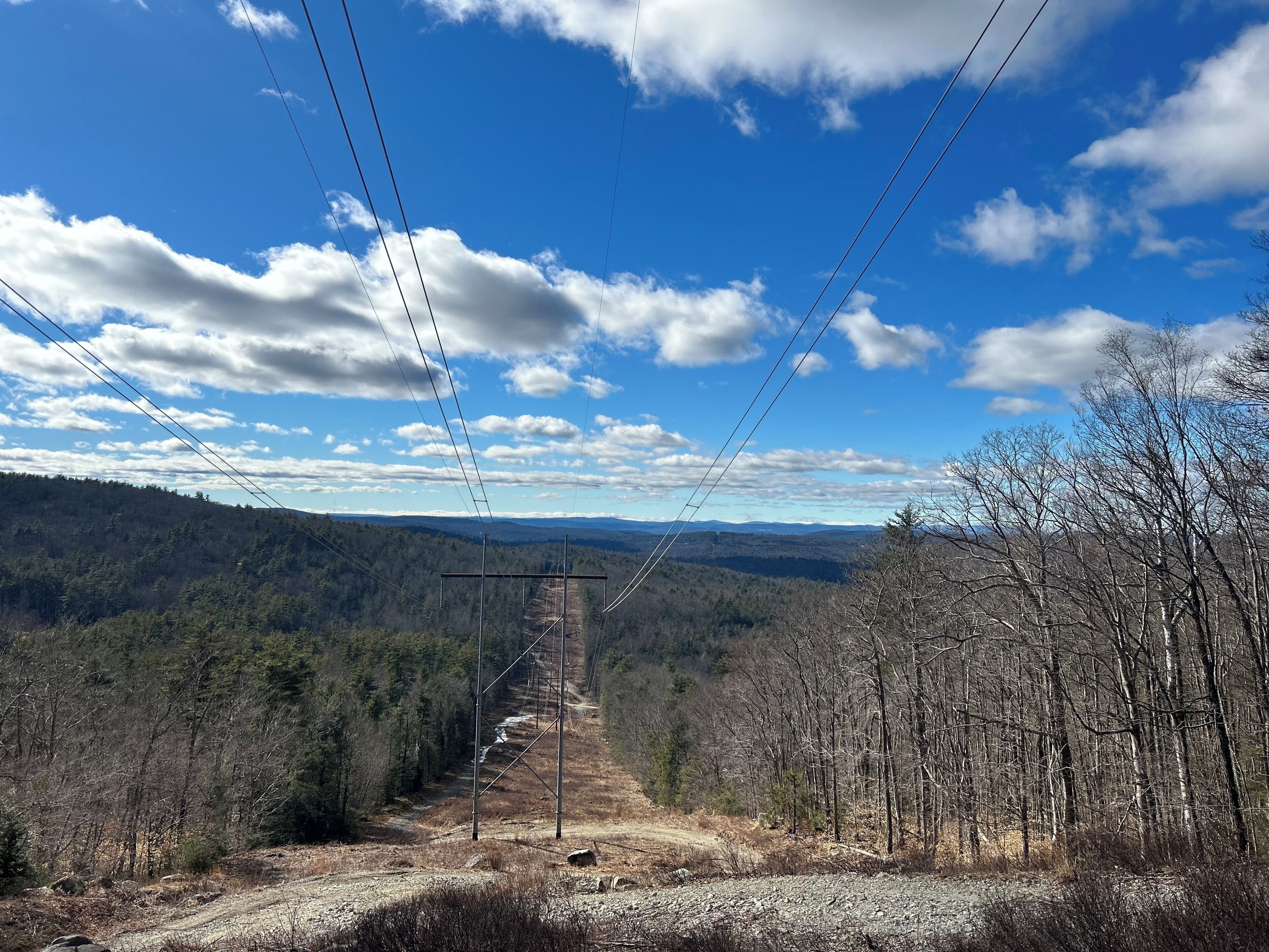 A clear view of a forested valley with a dirt road leading through it, power lines overhead, and a distant mountain range.