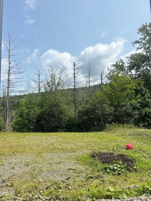 Property grounds - 2 private mountain RV pads for rent. Full hook ups (Winchester)