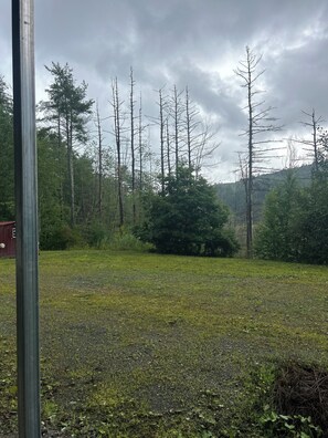 Property grounds - 2 private mountain RV pads for rent. Full hook ups (Winchester)