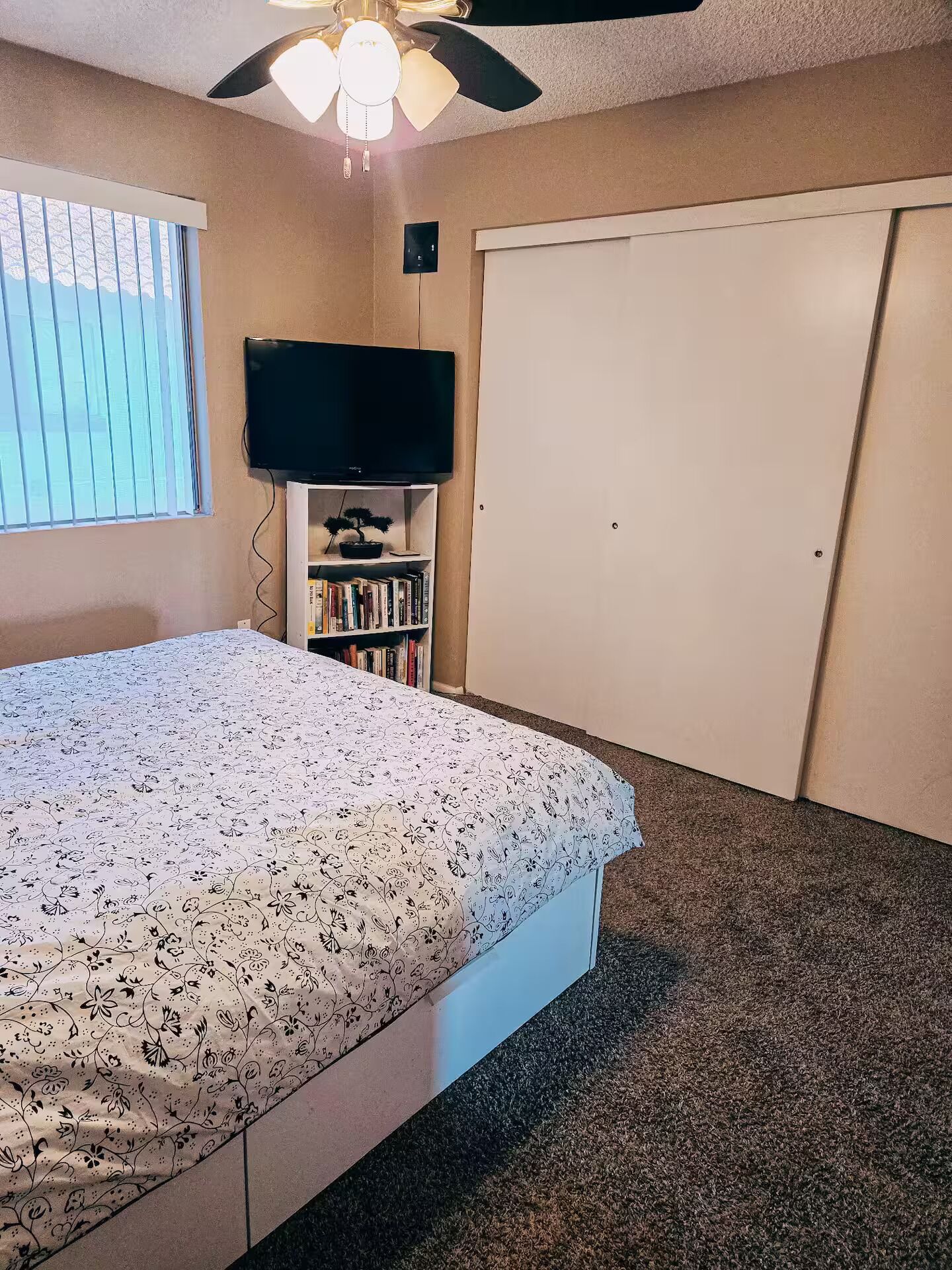 A bedroom with a bed, a ceiling fan, a TV, a bookshelf, and a closet.