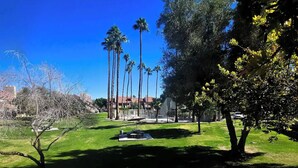 A park with a well-maintained lawn, tall palm trees, and a clear blue sky. - Home Away from Home in Mesa (Mesa)