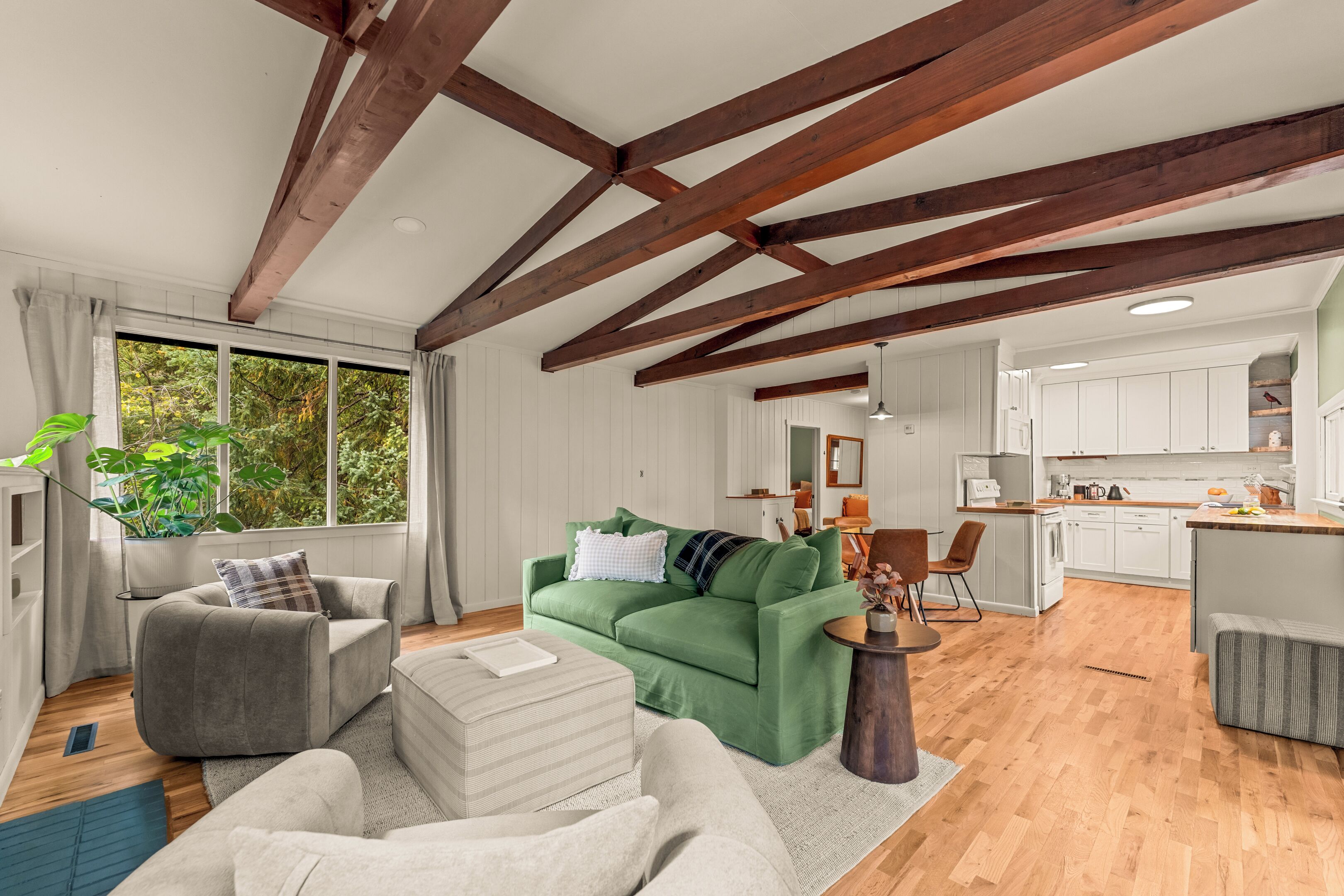 智能电视、壁炉、书、音乐库