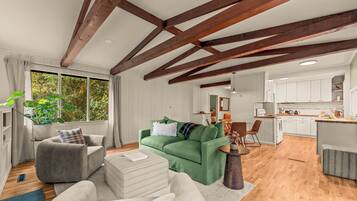 TV connectée, cheminée, livres, médiathÚque