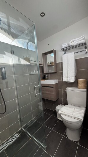 Dusche, Haartrockner, Bidet, Handtücher