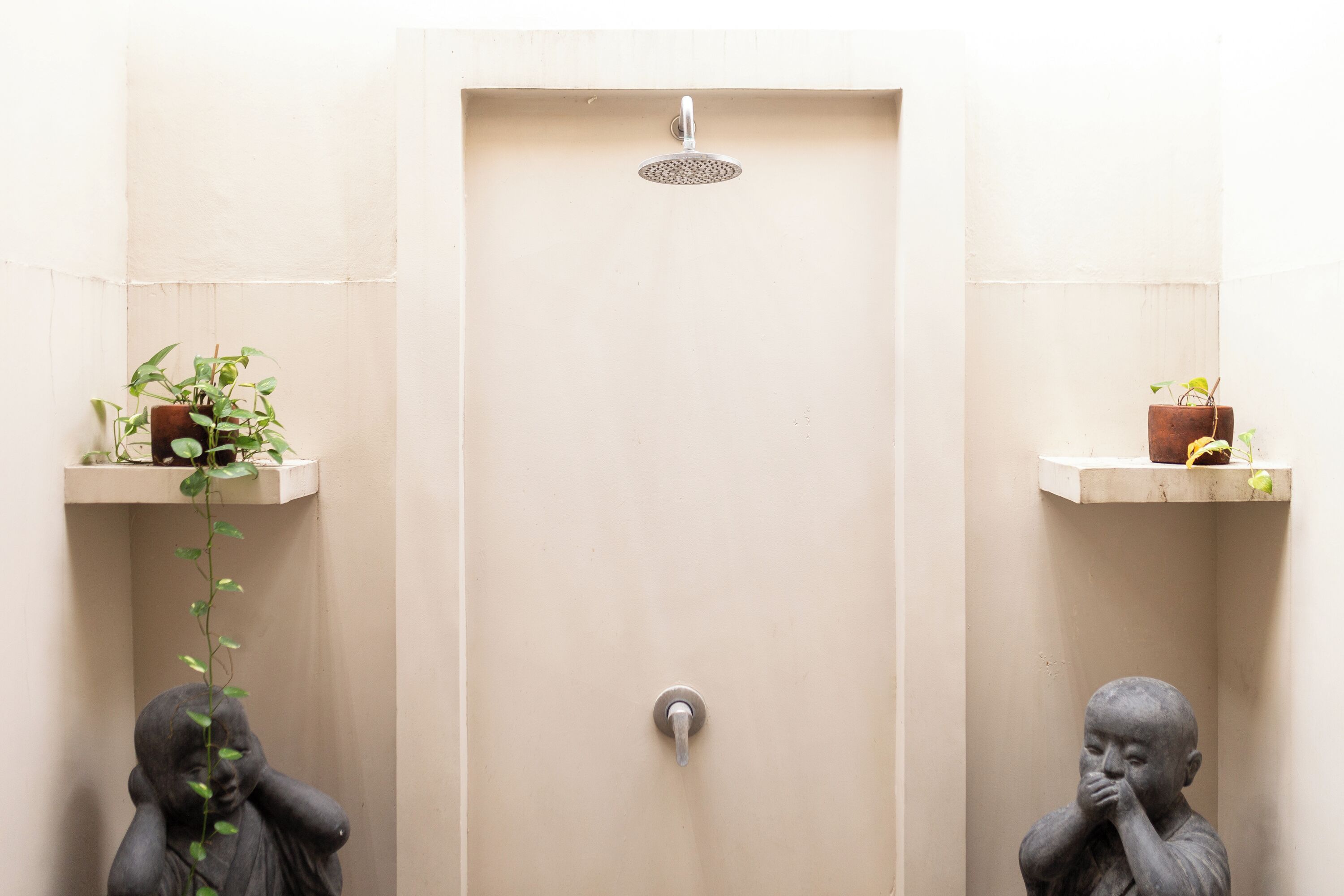 A bathroom with a beige door, a showerhead, and two small shelves with plants.