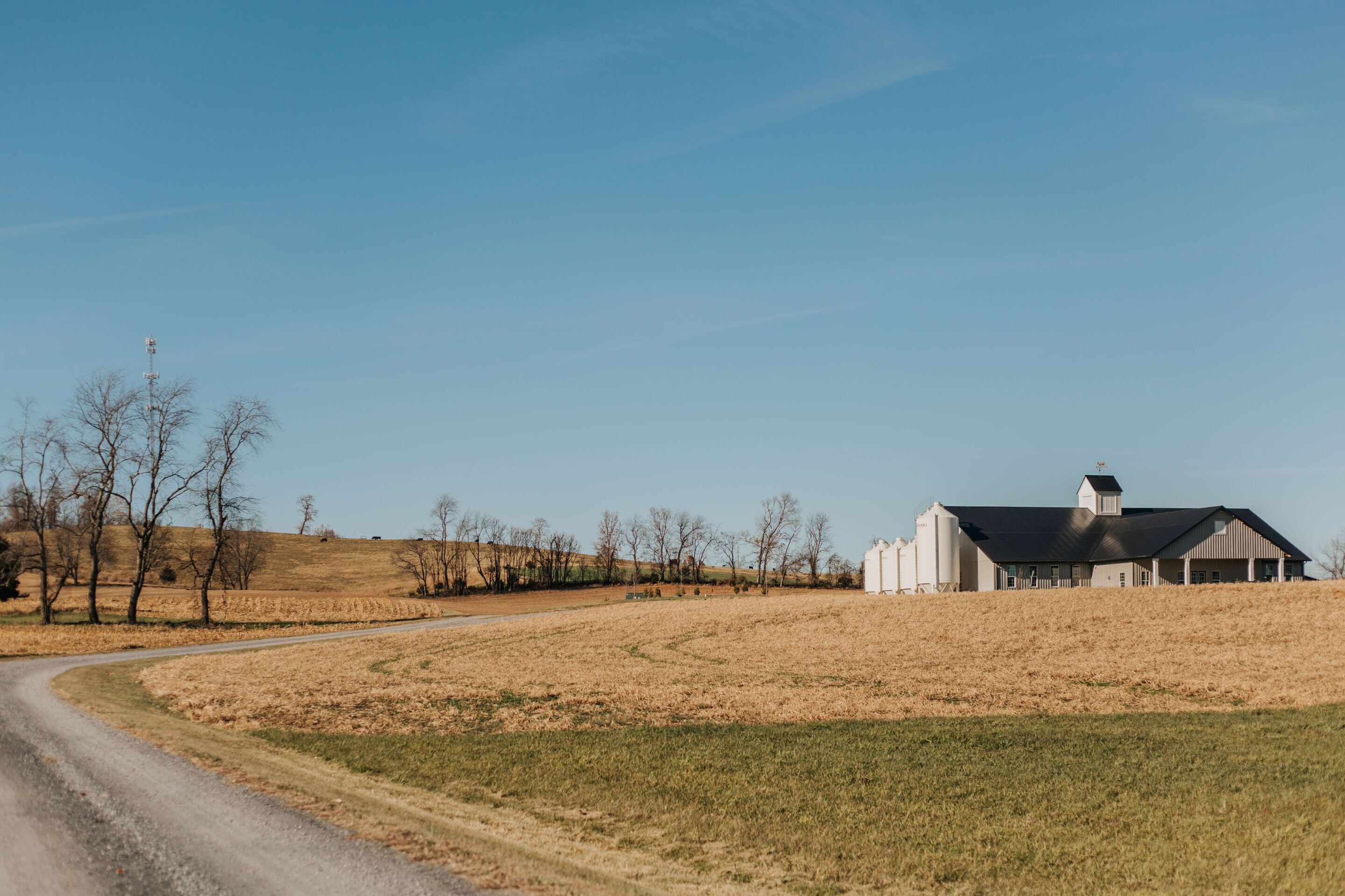 Een landelijk landschap met een schuur, een silo, een onverharde weg en kale bomen.