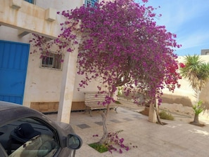 Property grounds - Villa Anis Gafsa (Gafsa)