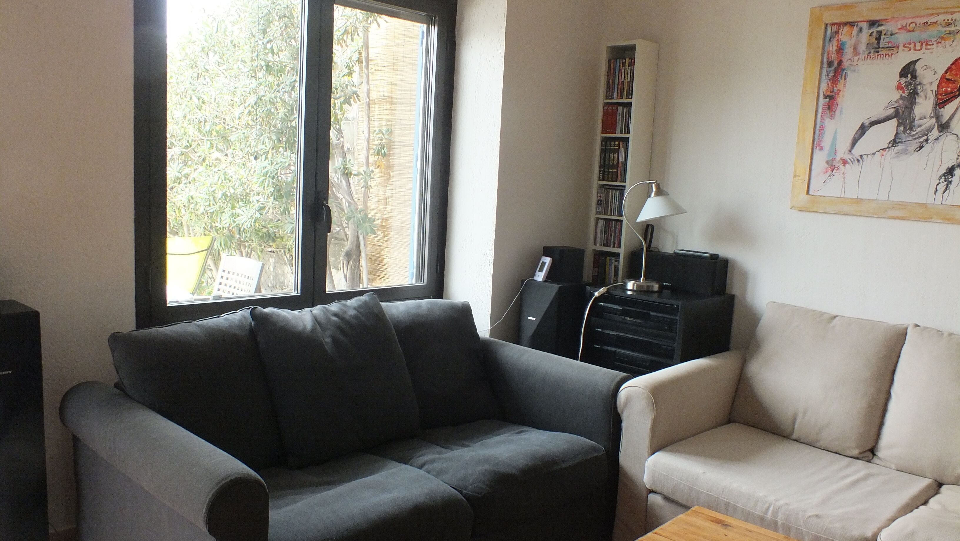 Smart TV, DVD player, books, music library