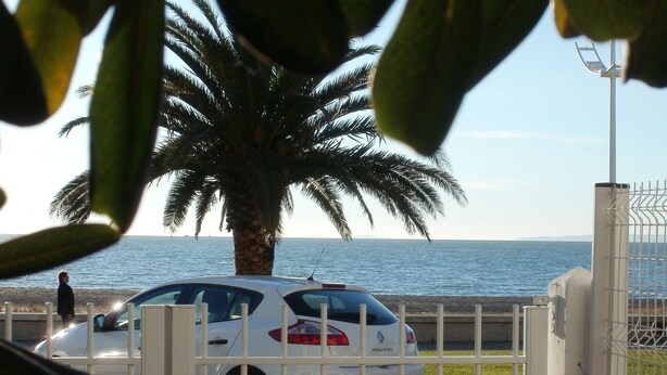 A white car parked in front of a gated area with a palm tree and a view of the sea in the background.