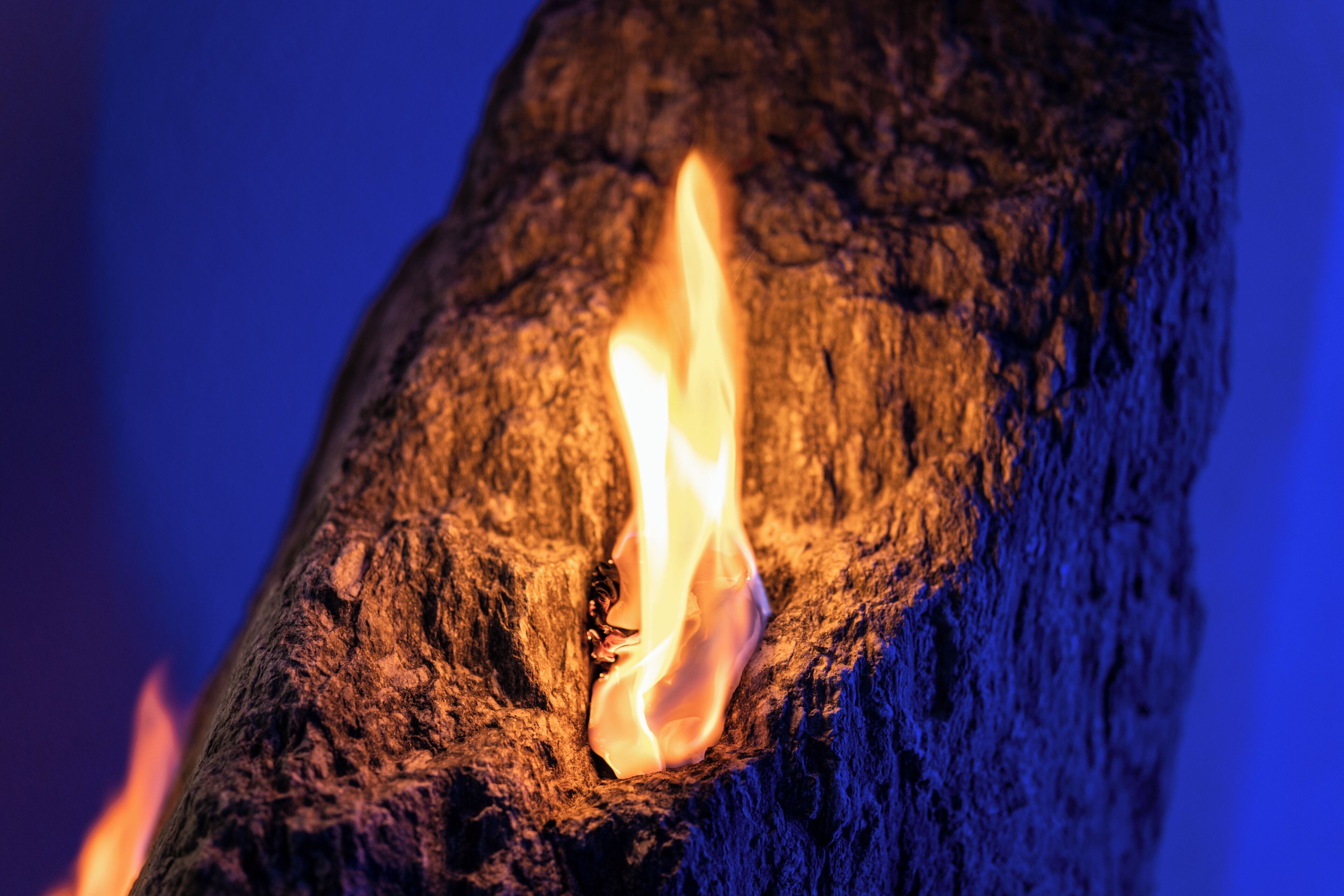 Un gros plan d’un feu qui brûle dans un morceau de bois à la texture rugueuse.