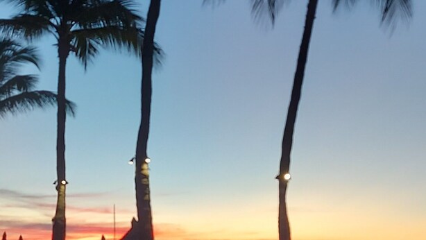 A beach scene with palm trees and beach umbrellas under a sunset sky. - Cas Pega Pega - Close To Beach - Centrally Located (Paradera)