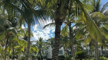 A pool area with palm trees, lounge chairs, and a clear sky.