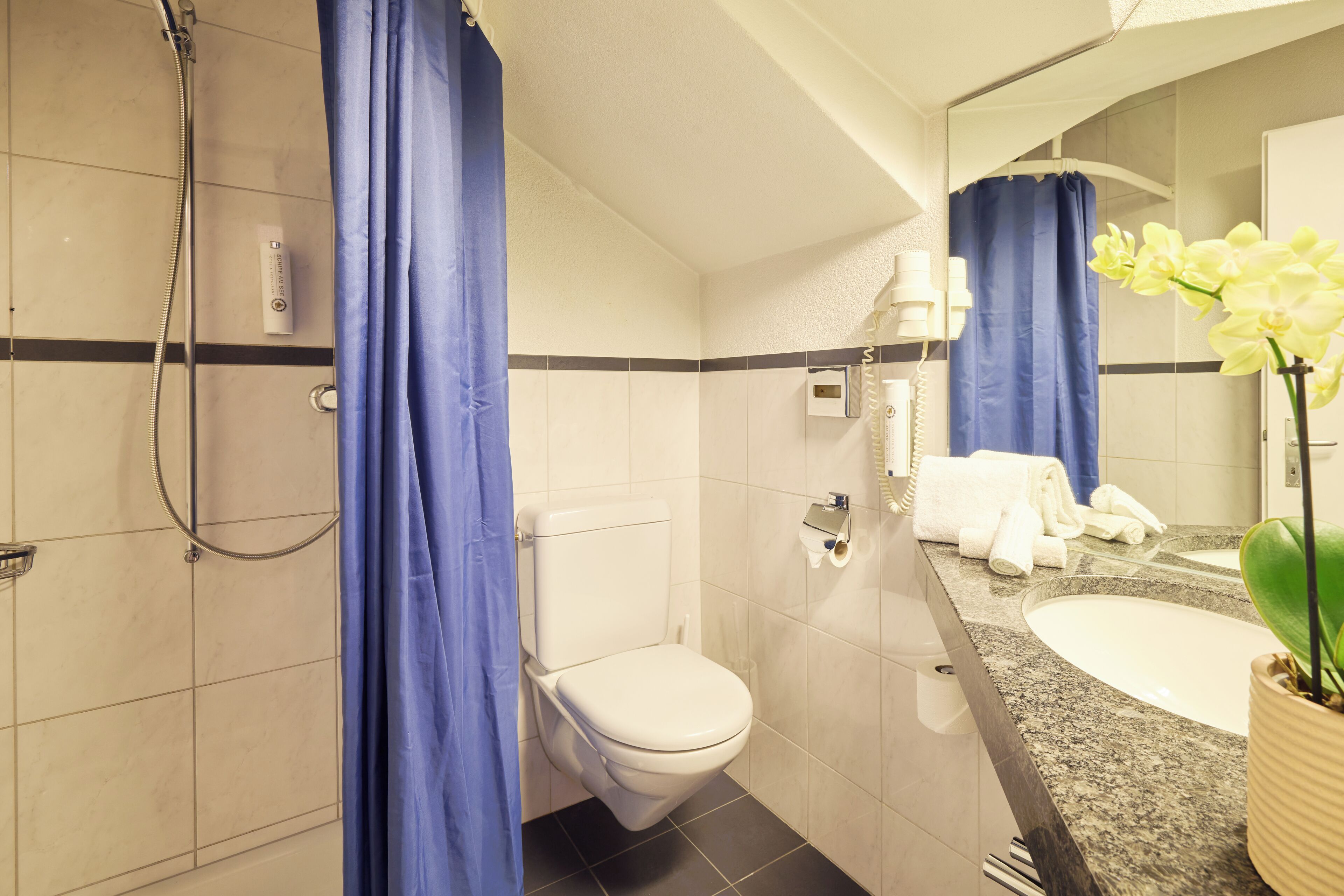 A bathroom with a shower, toilet, sink, and a mirror.