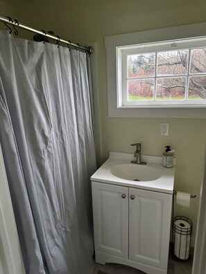 Shower, towels, toilet paper