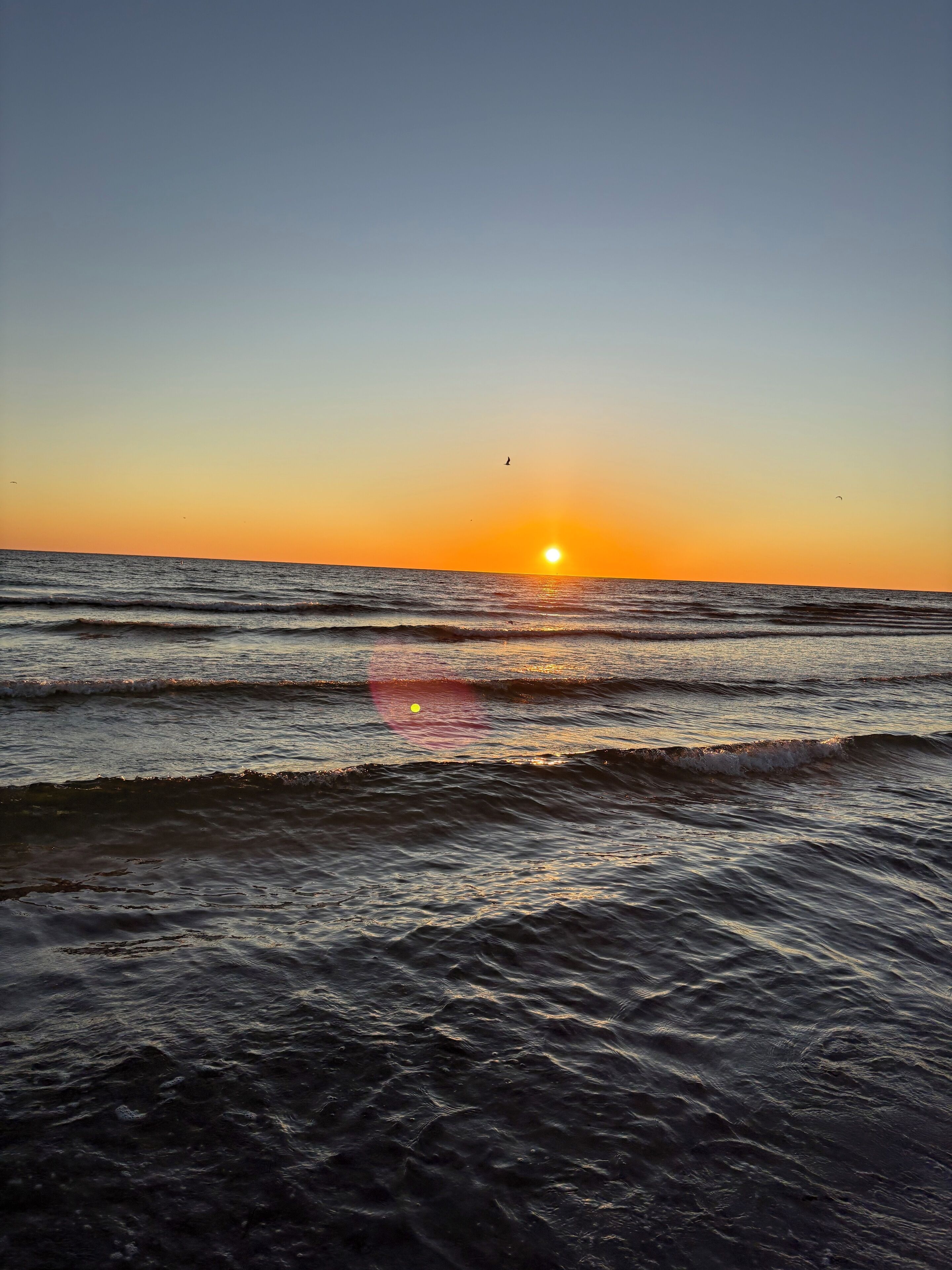 Gandules de platja i tovalloles de platja 