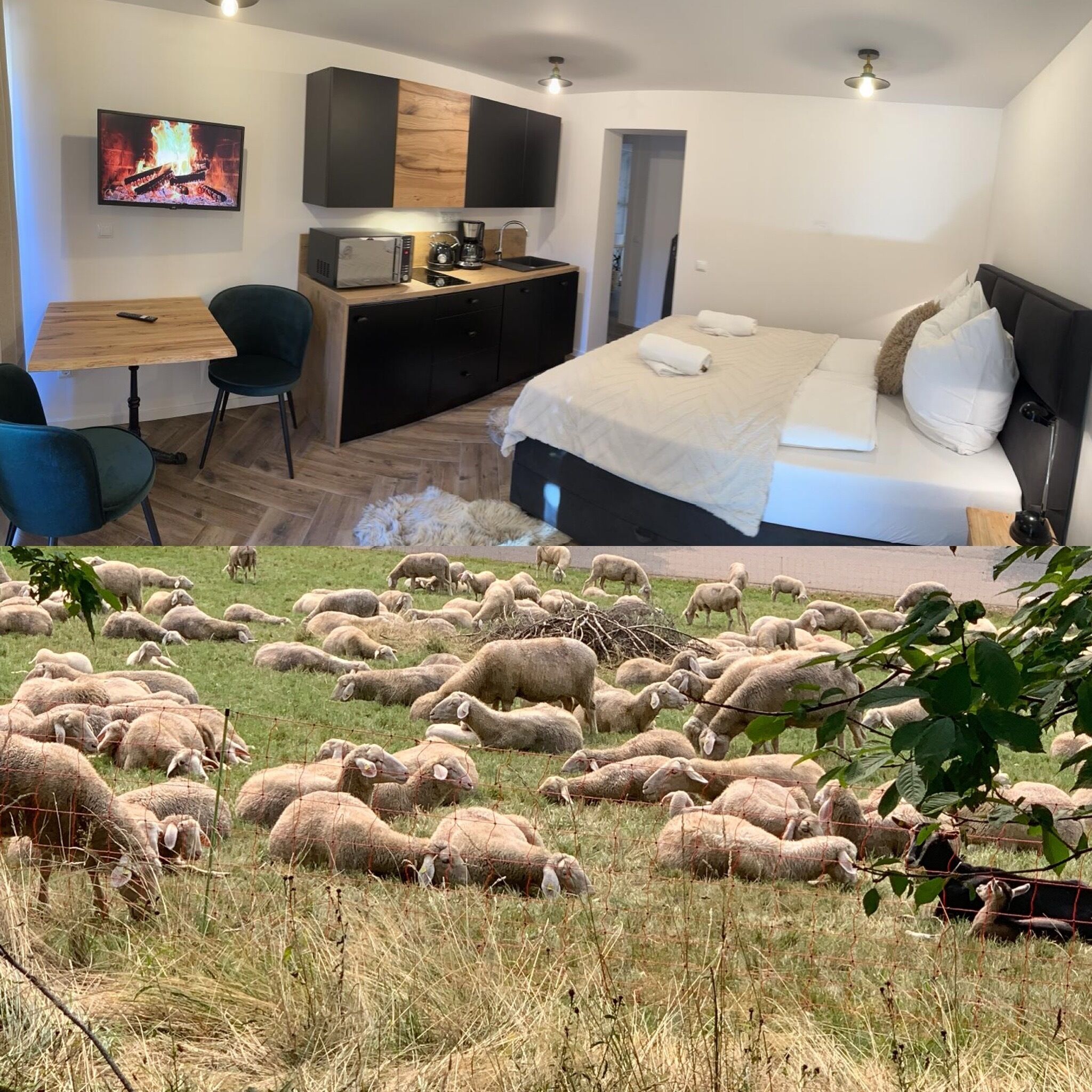 Internetzugang, Bettwäsche