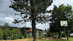A park with playground equipment, a basketball hoop, and a large tree. - BergOase-Apart am Feldberg - (Feldberg (Schwarzwald))