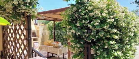 A covered outdoor seating area with a table and chairs, surrounded by lush greenery and flowering plants.