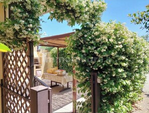 Property grounds - The Star of the South - Holiday Home. Apartment at the foot of Etna (Mascali)