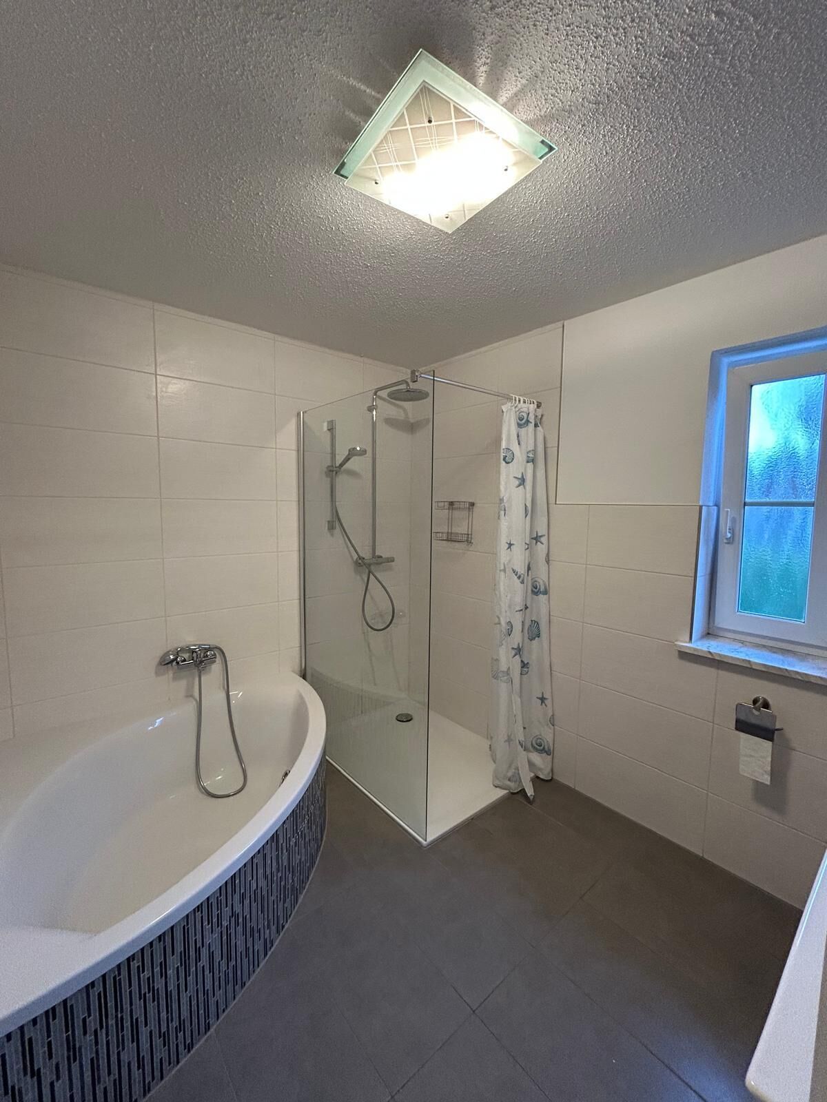 Shower, towels, soap, toilet paper