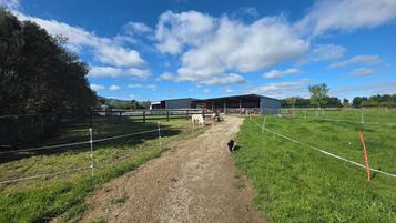 Overnatningsstedets område